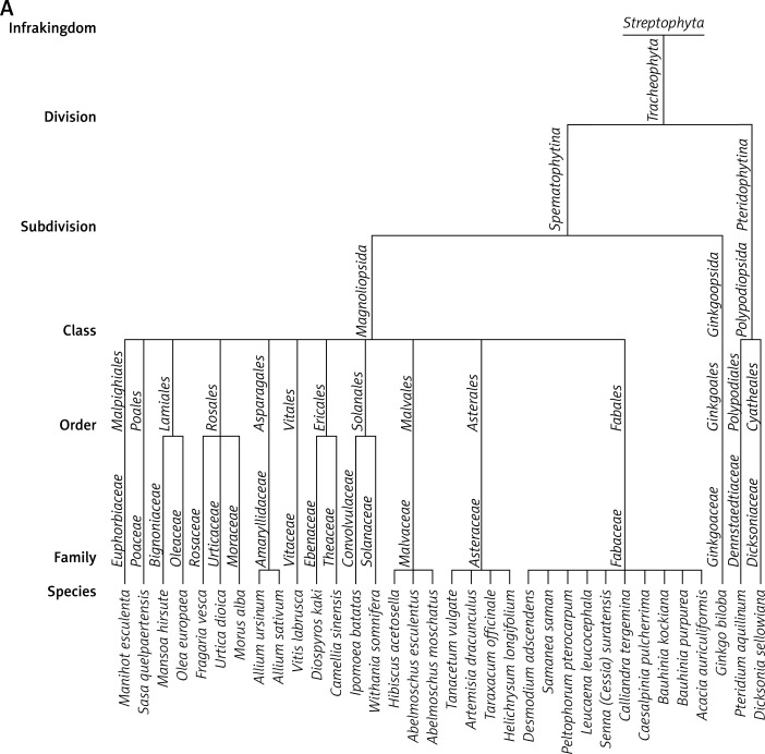 Figure 1 A