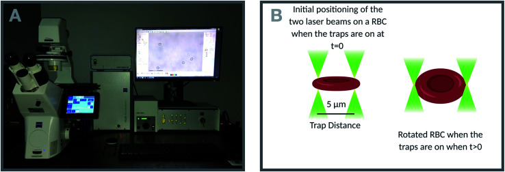 Fig. 4