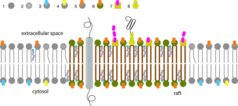 Fig. 3