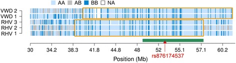 Fig. 3