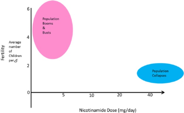 Figure 20