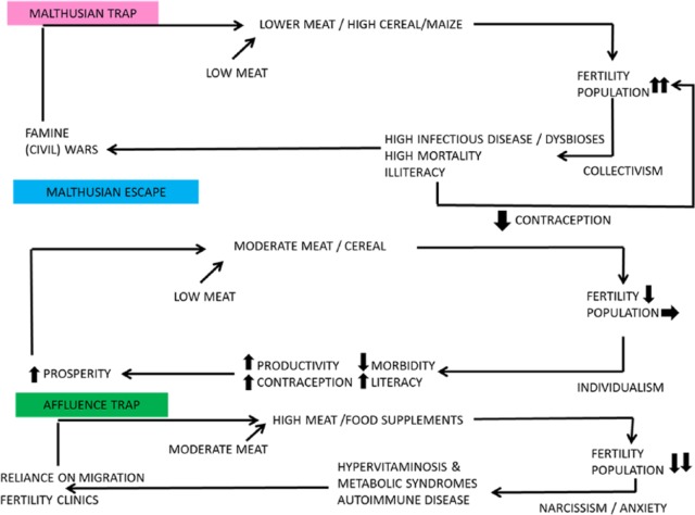 Figure 21