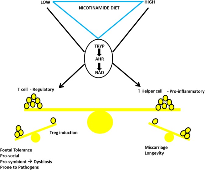 Figure 18