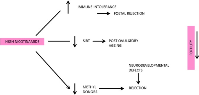 Figure 19