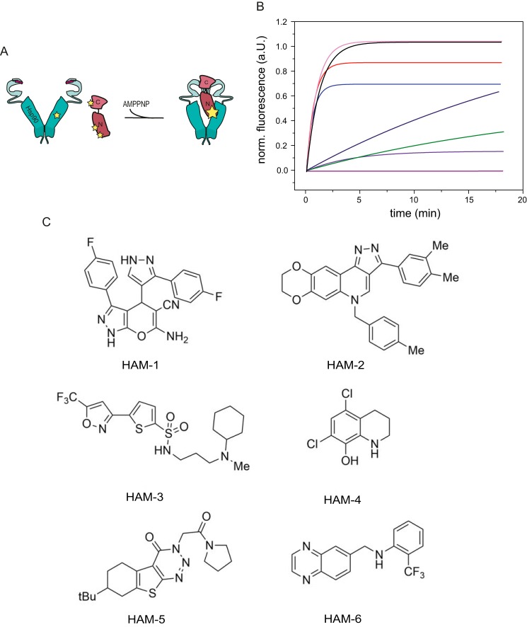 Figure 1.