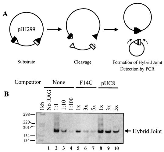 FIG. 6.