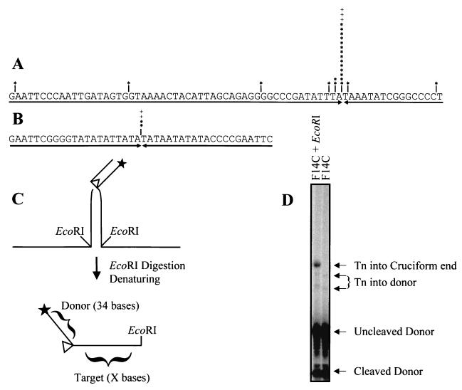 FIG. 4.