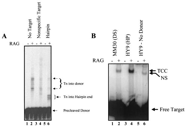 FIG. 5.