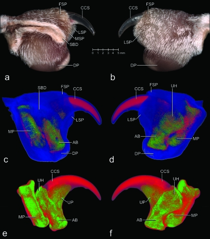 Fig. 2