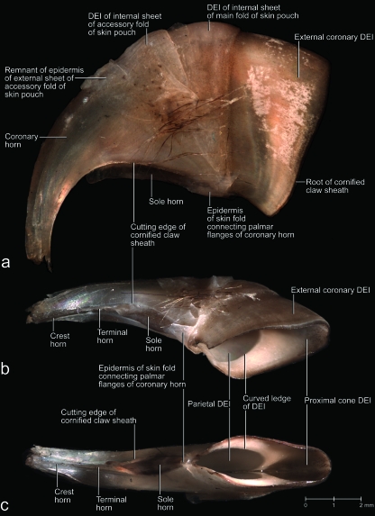 Fig. 8