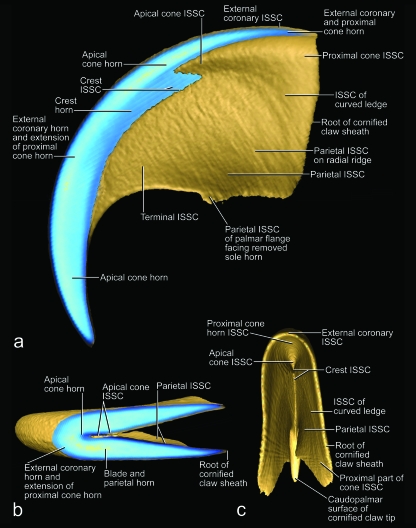 Fig. 11