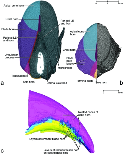 Fig. 13