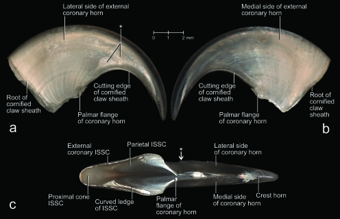 Fig. 10