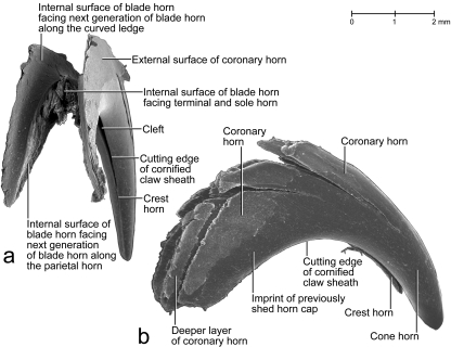 Fig. 14