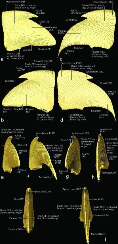 Fig. 12