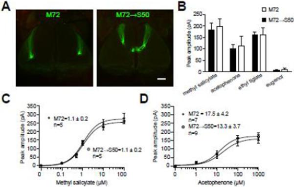 Fig. 4