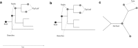 <b>FIG. 13.</b>