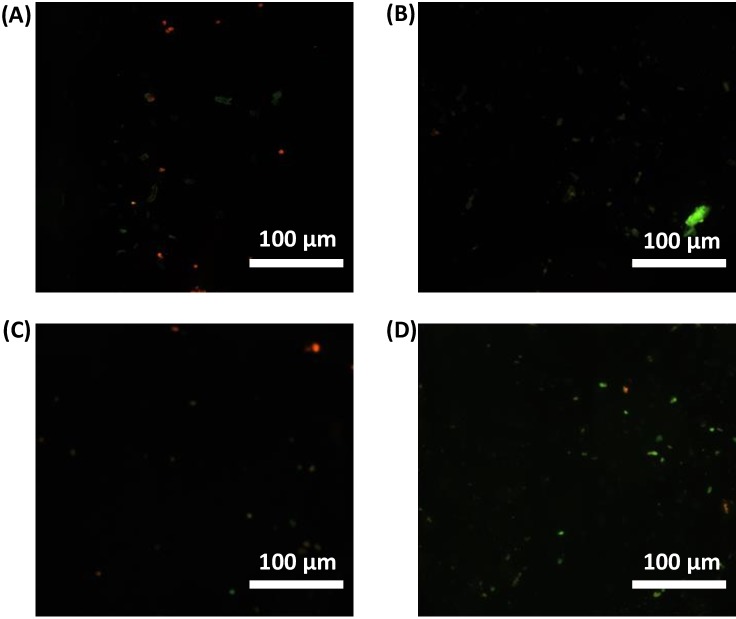 Figure 16