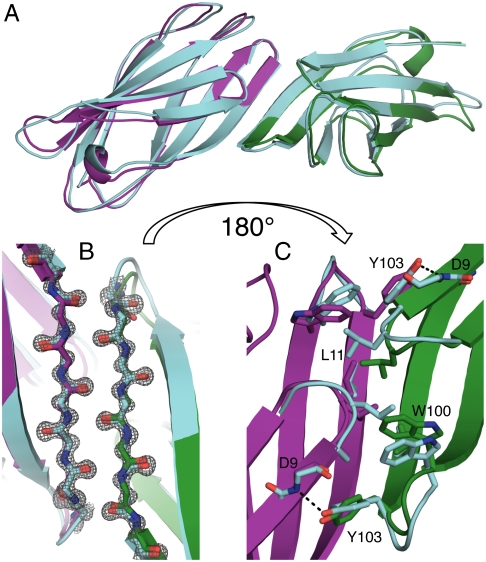 Fig. 4.