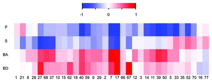 graphic file with name rna-10-981-g1.jpg