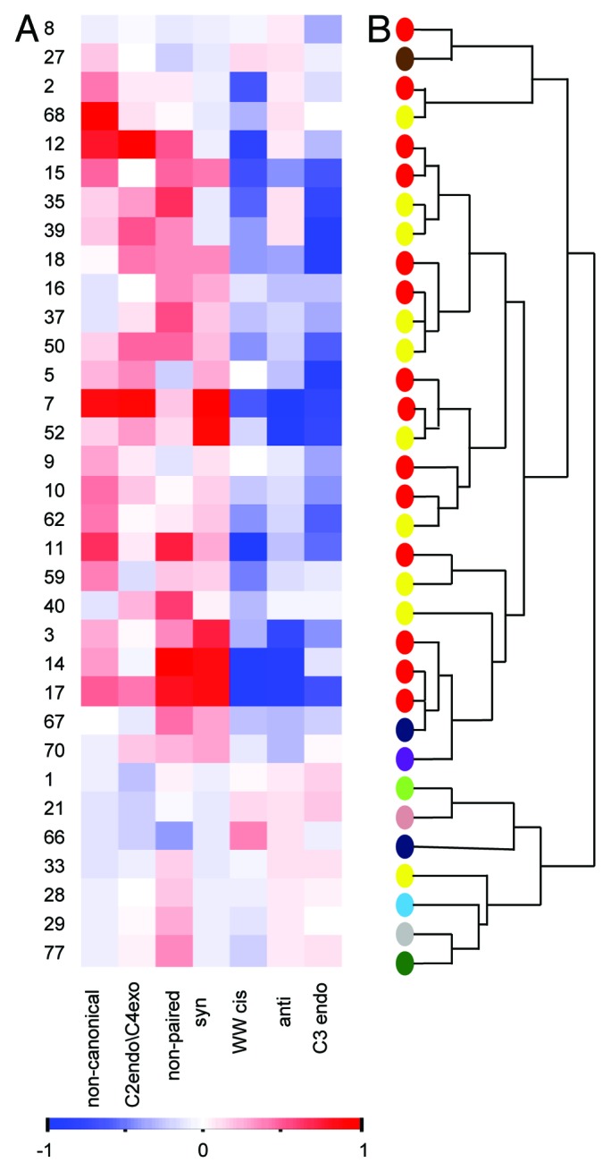 graphic file with name rna-10-981-g2.jpg