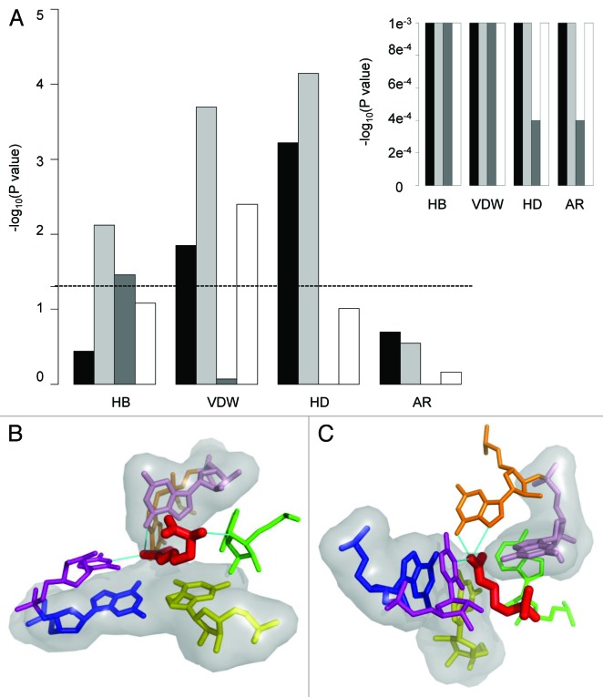 graphic file with name rna-10-981-g5.jpg