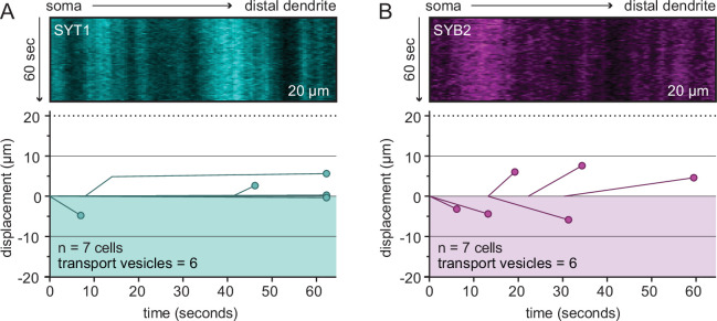 Figure 2—figure supplement 2.