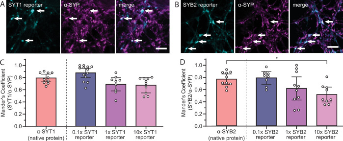 Figure 1—figure supplement 3.