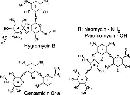 FIGURE 1.