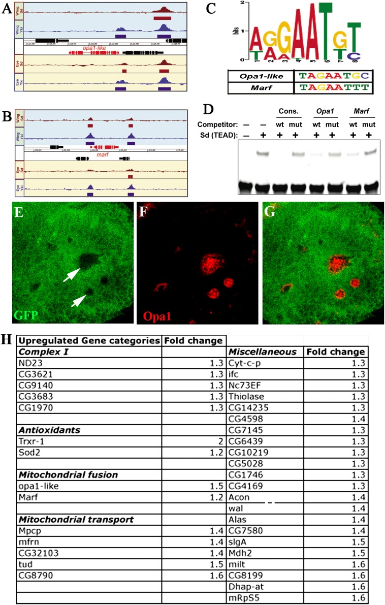 Figure 4.