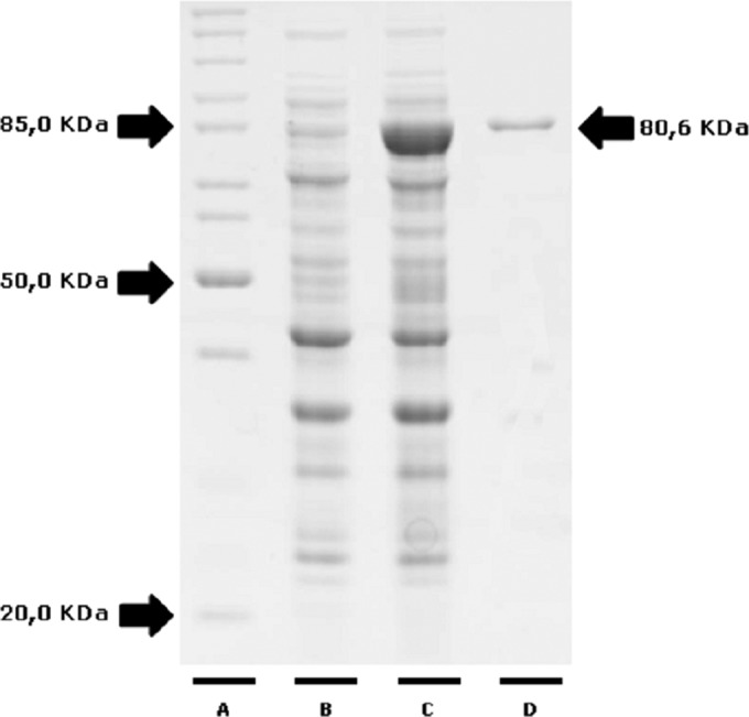 FIG 2