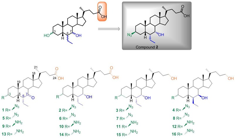 FIGURE 2