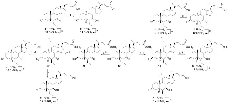 FIGURE 3