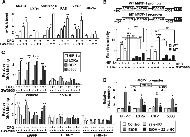 PATH-4494-FIG-0003-b