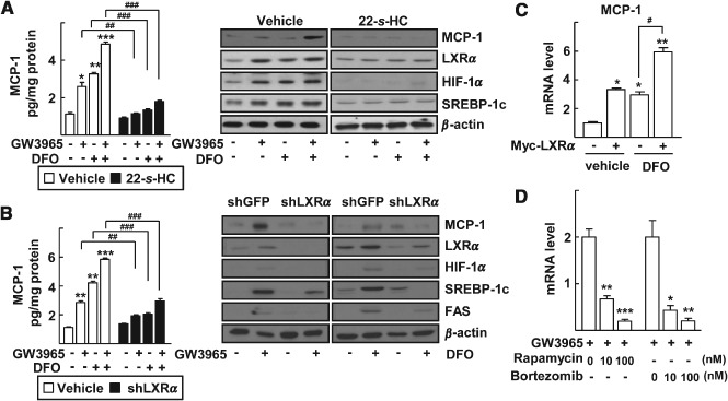 PATH-4494-FIG-0002-b