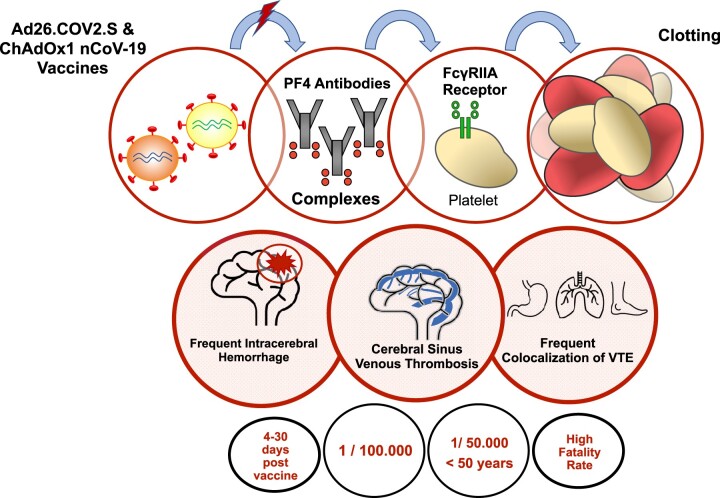 Graphical Abstract