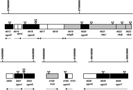 Figure 3.