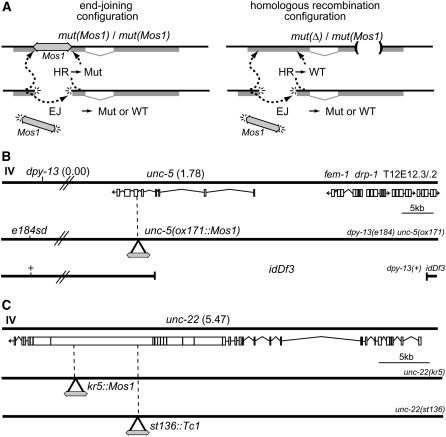 Figure 1.—