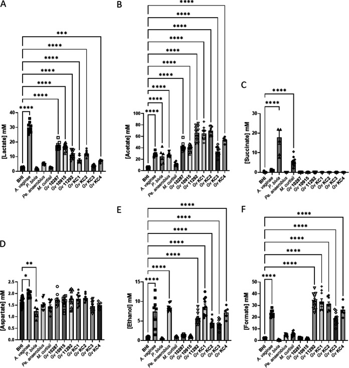 FIG 2