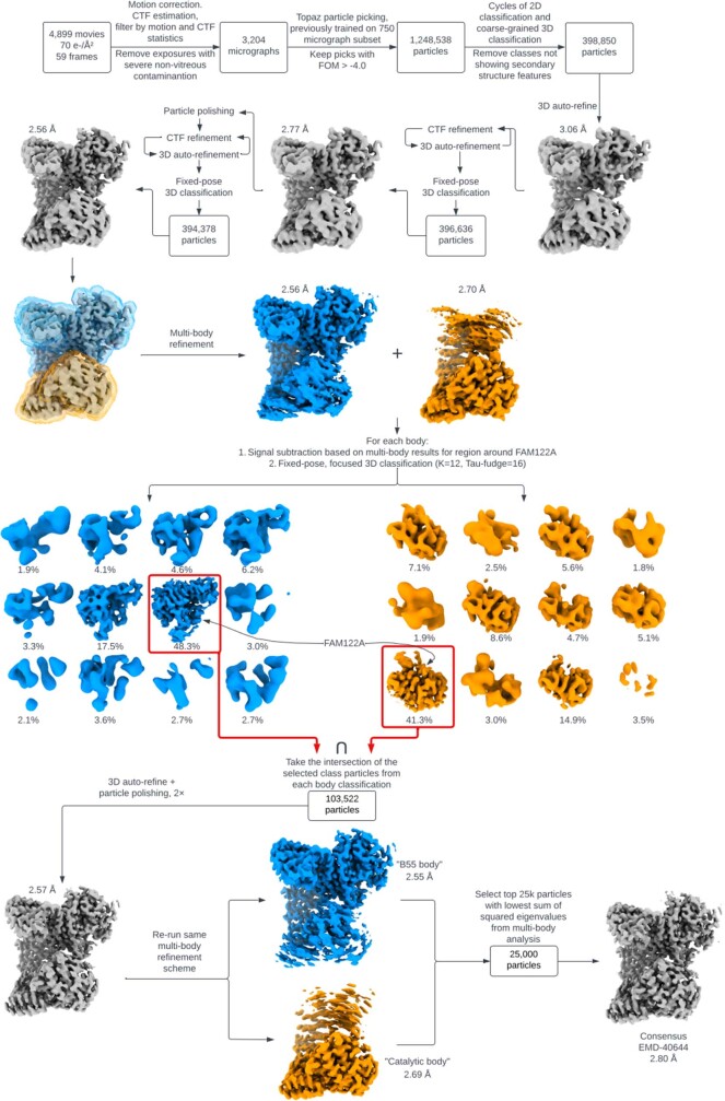 Extended Data Fig. 7