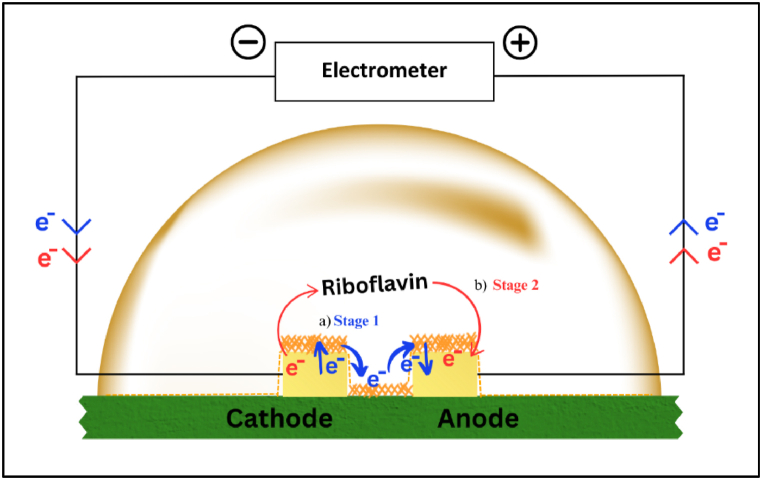 Fig. 9