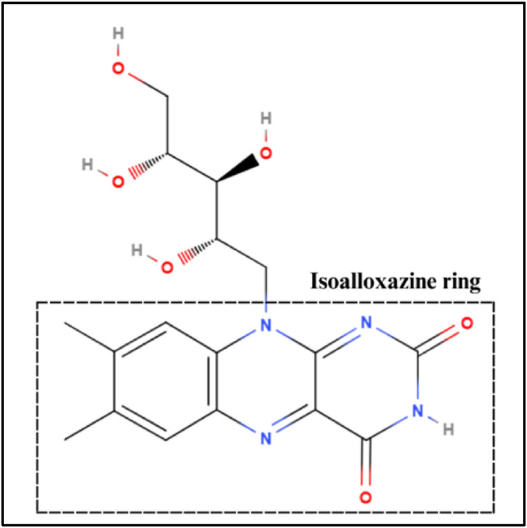 Fig. 10