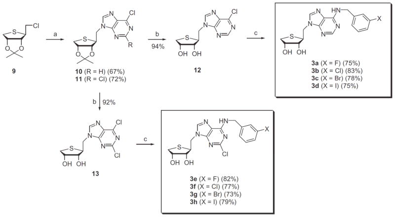 Scheme 2