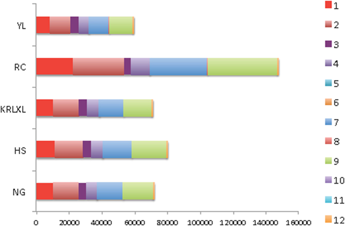 Figure 7