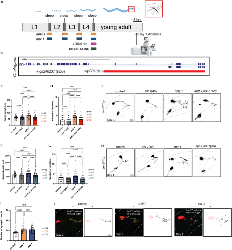 Figure 1