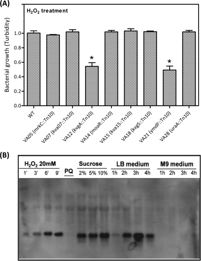 FIG. 6.