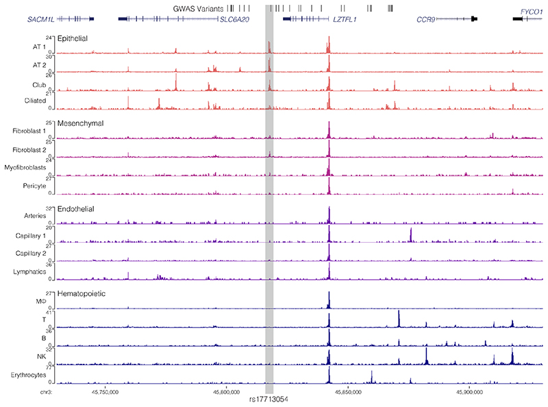 Extended Data Figure 5