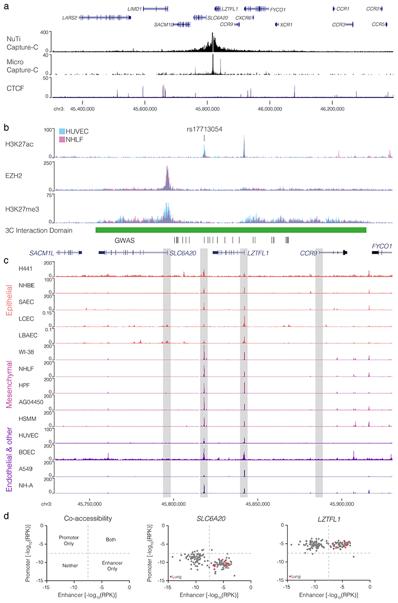 Extended Data Figure 7