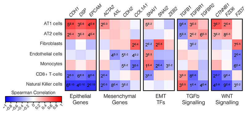 Extended Data Figure 10