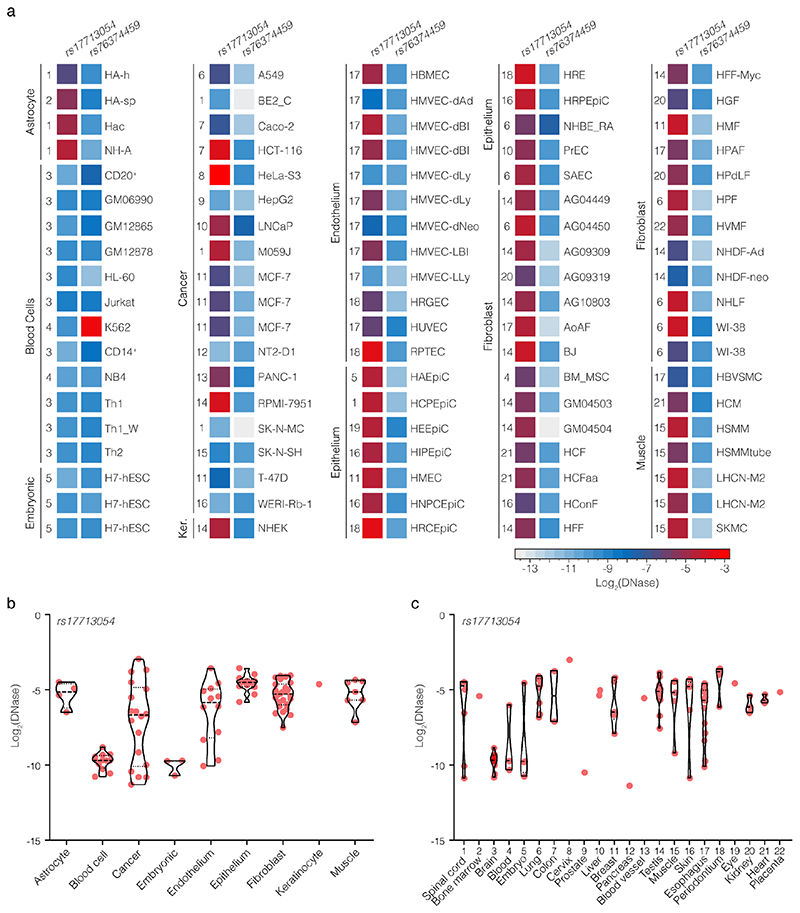 Extended Data Figure 2